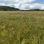 Appartamento Bis 7 Personen In Oehrenstock *