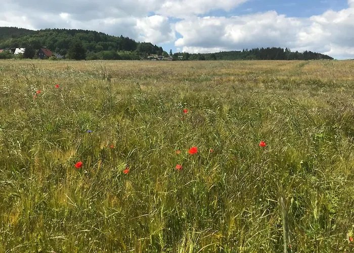 Apartament Bis 7 Personen In Oehrenstock *