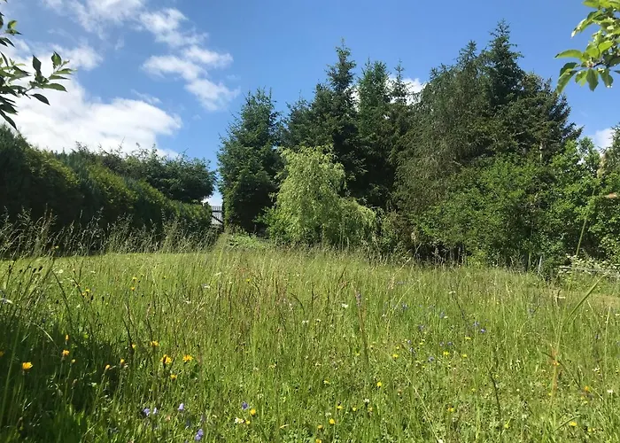Apartment Bis 7 Personen In Oehrenstock