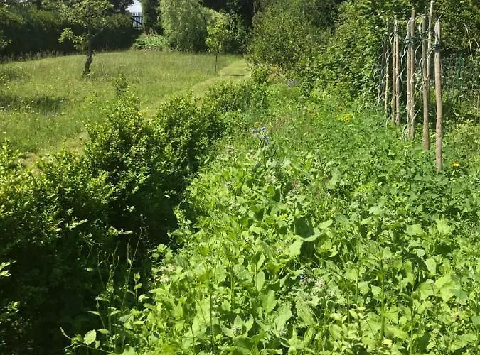 Bis 7 Personen In Oehrenstock * Ilmenau